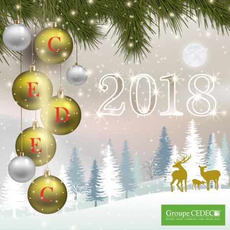 CEDEC vous souhaite un joyeux Noël et une bonne année 2018 ! 