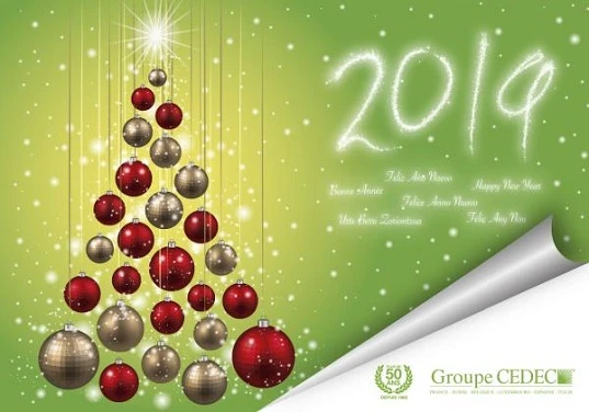  Joyeux Noël et Heureuse année 2019 de la part de toute l’équipe de CEDEC